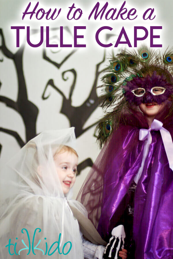 Two children wearing tulle capes, with text overlay saying "How to Make a Tulle Cape."