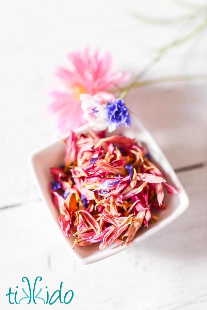 edible dried flower petals small white bowl of dried edible flower petals in pinks and blues, on a white wooden surface. A dahlia and two cornflowers rest beside the bowl.
